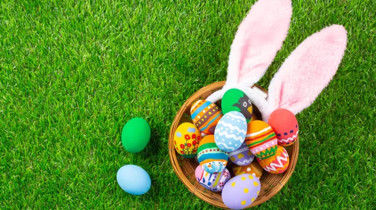 Asal Usul Tradisi Telur Paskah dari Simbol Kehidupan hingga Perburuan Telur