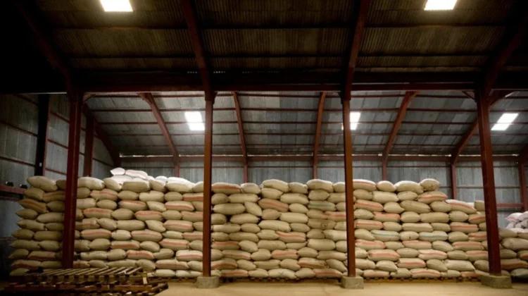 Organisasi Pangan dan Pertanian Laporkan Kenaikan Harga Pangan Global