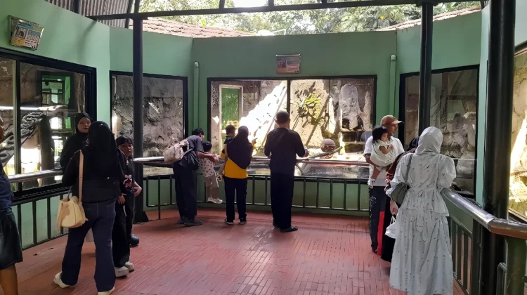 Libur Panjang, Taman Margasatwa Ragunan Jadi Salah Satu Destinasi Wisata Pilihan