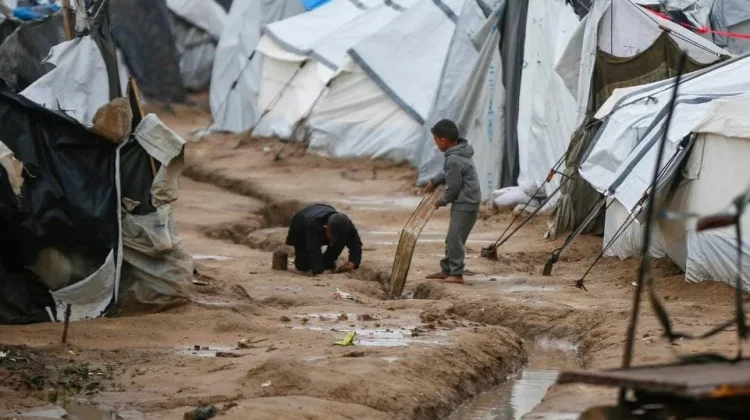 PBB: 1,7 Juta Warga Gaza Hidup dalam Kondisi Pengungsian yang Buruk