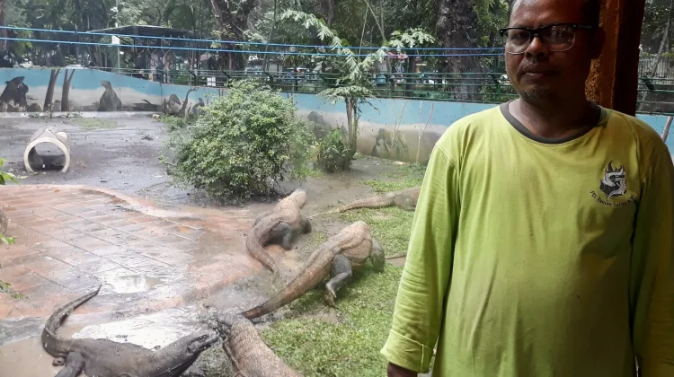 Terlibat Konservasi Komodo, Menyelami Sejarah KBS dari Koleksi Wartawan