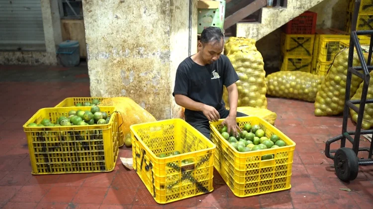 Omzet Penjual Jeruk di Solo Meningkat Berkat Program MBG