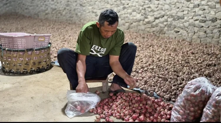 Petani di Boyalali 'Kewalahan ' Menerima Pesanan dari Dapur MBG