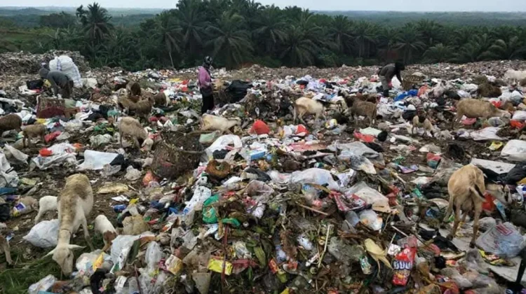 Kapasitas TPA Bangka Alami Kondisi Overload Parah