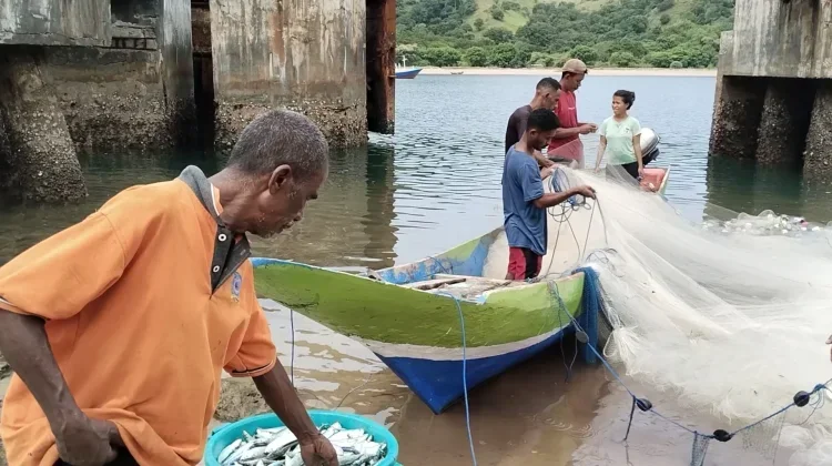 Penguatan Sektor Pangan Biru Diingatkan Beriringan Moderenisasi Perikanan