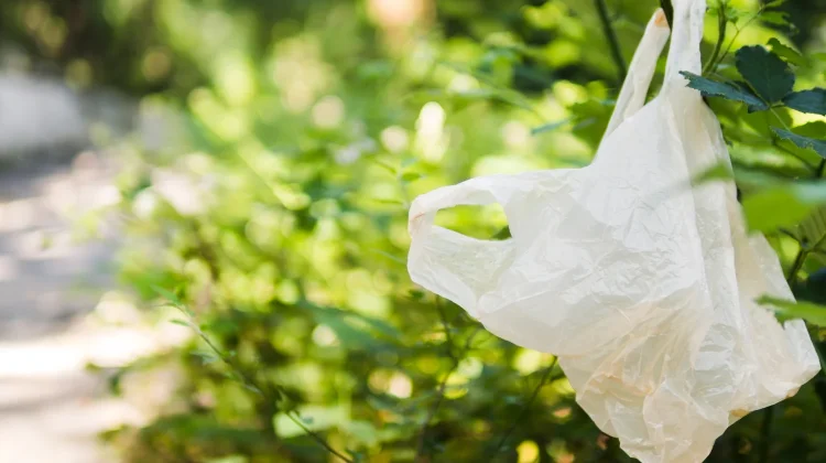 Apa Itu Nafta? Bahan Baku Plastik yang Berasal dari Minyak Bumi