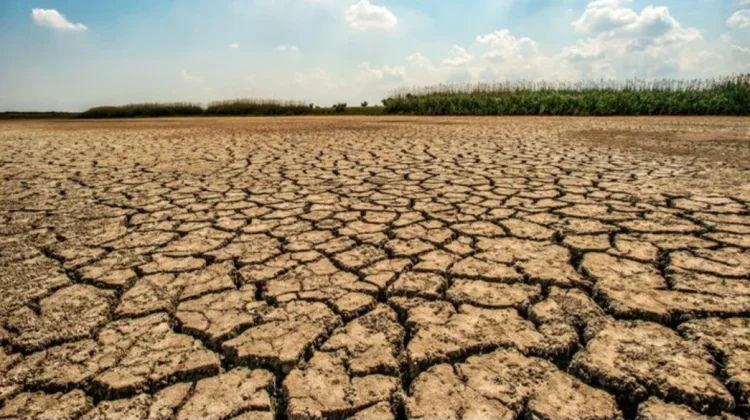 Mengenal Fenomena El Nino: Apa Saja Dampaknya?