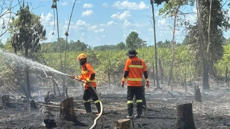 BPBD Kaltim Perkuat Pengamanan Berlapis Antisipasi Karhutla IKN
