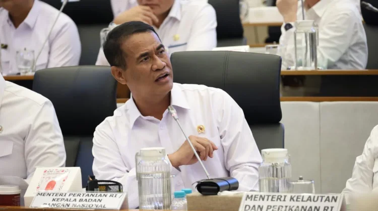Pemerintah Perketat Pengawasan Harga Pangan Hadapi Potensi El Nino