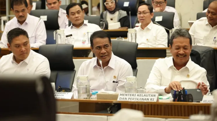 Bapanas Pastikan Pangan Surplus jelang El Nino