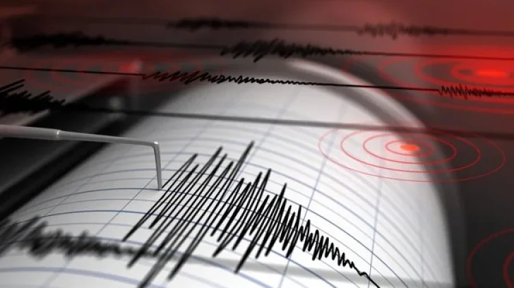 Gempa Magnitudo 4.7 Guncang NTT, BMKG Catat 48 Kali Gempa Susulan