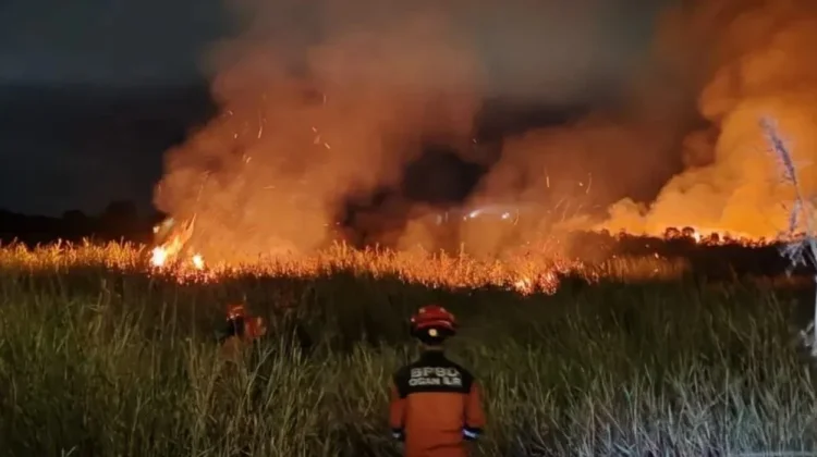 Kebakaran Lahan Gambut Ogan Ilir Hanguskan 10 Hektare
