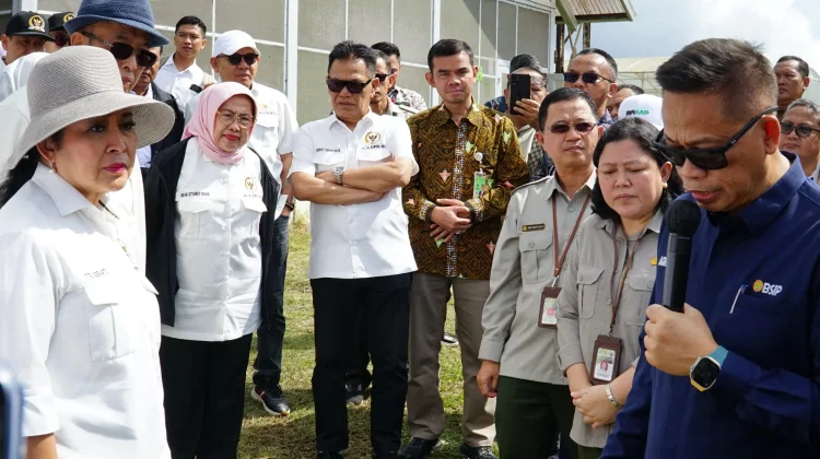 Dorong Swasembada Bawang Putih Nasional, Bapanas Perkuat Perbenihan