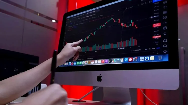 Jangan Panik saat 'Bear Market'! Ini 5 Cara Cerdas Lindungi Aset Kriptomu