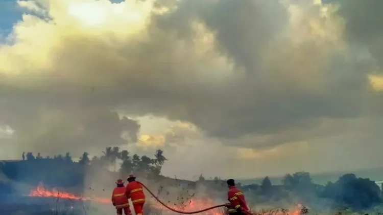BPBD Natuna Intensifkan Patroli-Sosialisasi Cegah Karhutla Dampak El Nino