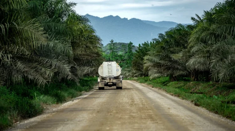 Program Biodiesel Dinilai Efektif Tekan Impor BBM