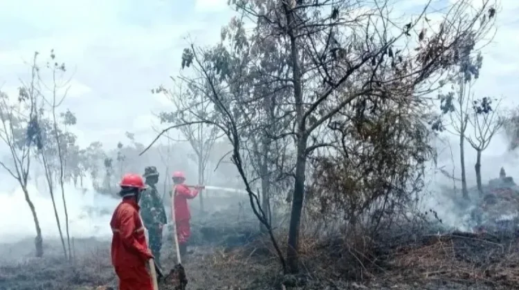 BMKG Deteksi 30 Titik Panas di Bengkulu: Waspada Ancaman Karhutla