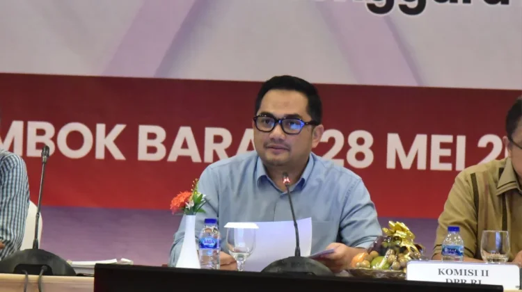 DPR Dorong Perpanjangan Dana Otsus Aceh 20 Tahun, Papua Diharapkan Naik Plafon