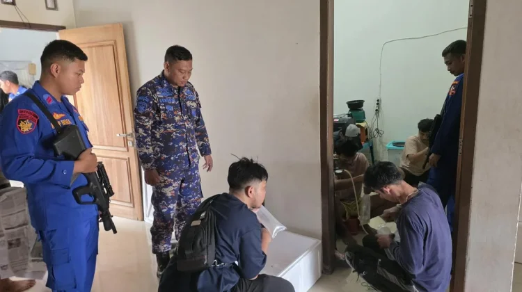 Korpolairud Ungkap Kasus 47 Ribu Benih Lobster Ilegal, Lima Tersangka Diamankan