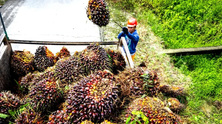 Akademisi: Model Ekonomi Sirkular Mengubah Limbah Menjadi Produk Bernilai Tambah