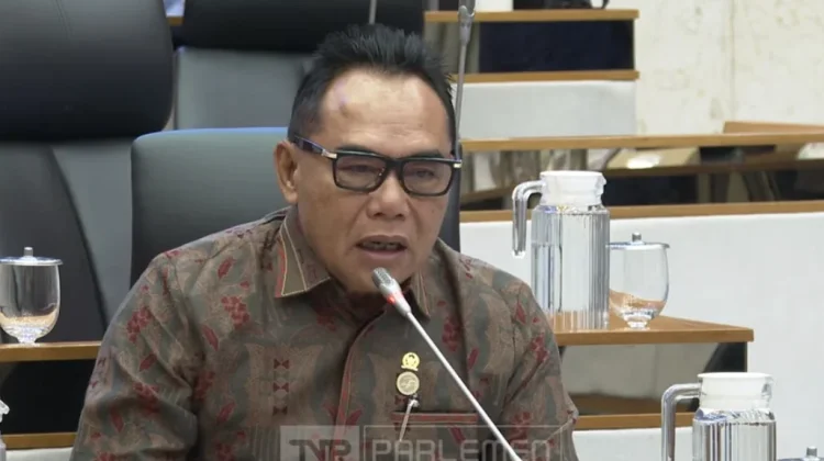 Anggota DPR Dorong Pemerintah Beri Subsidi Pakan Gajah Wisata