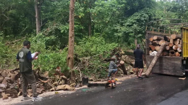 Komisi IV DPR Tegaskan Kawasan Hutan Lindung jangan Masuk Skema KHDPK
