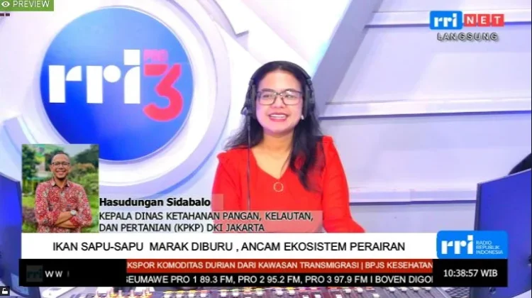 Pemprov Jakarta Perluas Kawasan Pemberantasan Ikan Sapu-sapu