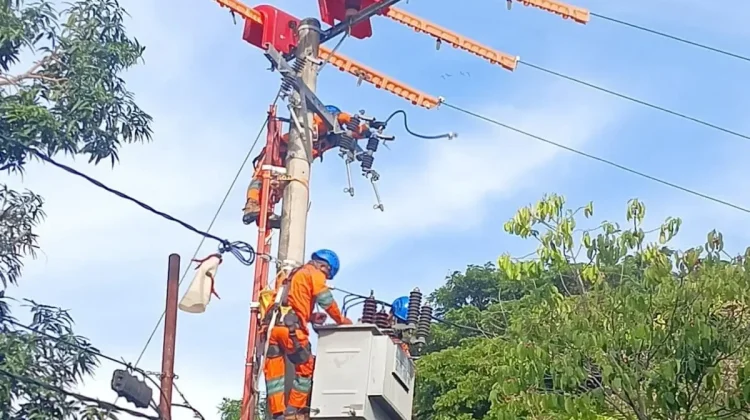 Dukung WFH Pemerintah, PLN Hadirkan Diskon Tambah Daya 50 Persen