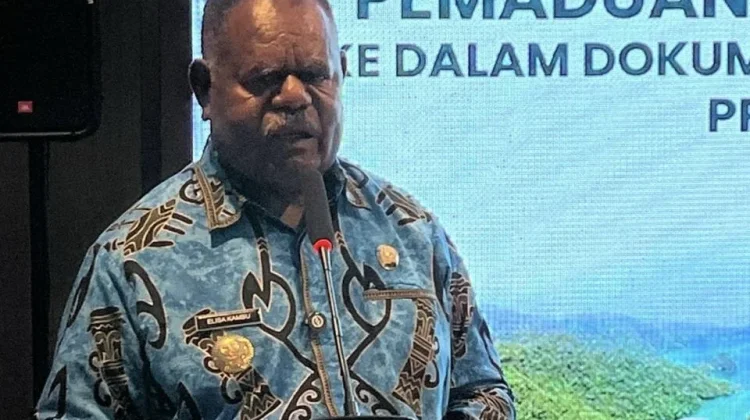 Gubernur Papua Barat Daya Tekankan Integrasi Penanggulangan Bencana