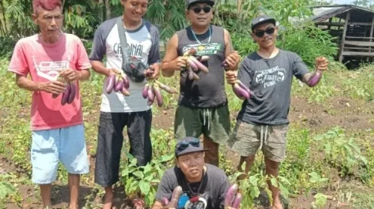 Dari Jalanan ke Sawah, Kisah Petani Punk Gunungkidul yang Kini Pasok Dapur MBG
