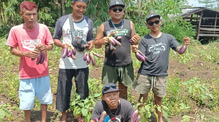Petani 'Punk' di Gunungkidul, Jadi Pemasok bagi Dapur MBG