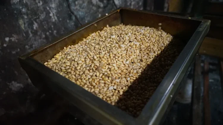 Stok Kedelai Aman, Harga Perajin Tetap Terkendali
