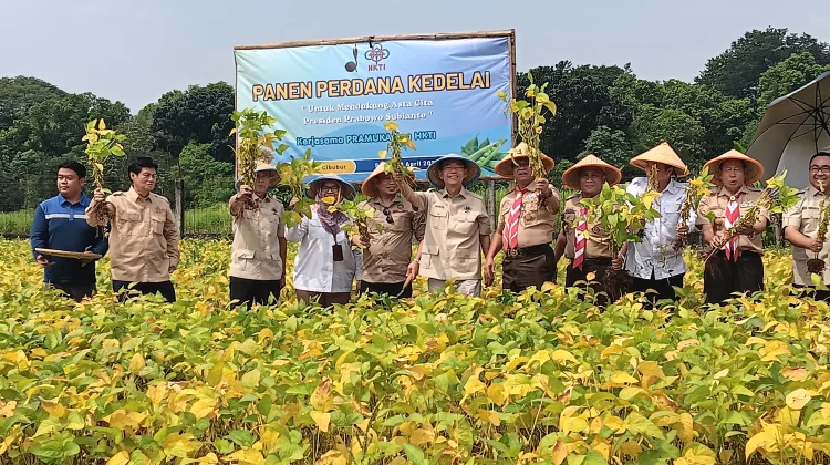 Panen Kedelai di Cibubur Dorong Produksi Nasional Berkelanjutan