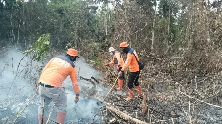 OKI Siaga Darurat Karhutla Lebih Awal, Antisipasi Kemarau Ekstrem