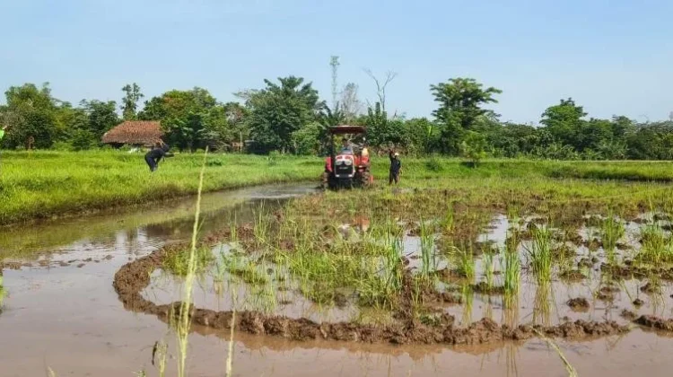 Kementan Uji Biodiesel B50, Mesin Pertanian Mulai Beralih ke Energi Terbarukan