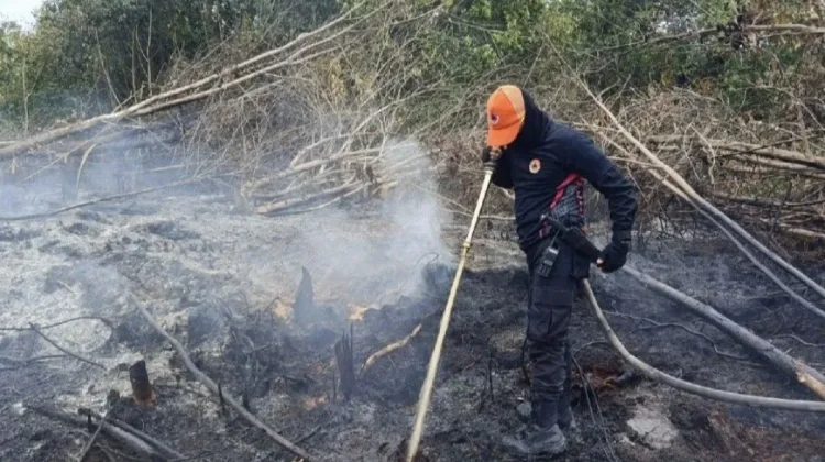 Polda Kalteng Kerahkan 7.000 Personel Cegah Karhutla