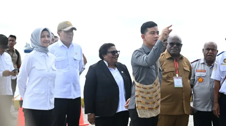 Pastikan Distribusi Logistik Lancar, Wapres Tinjau Dermaga Nabire