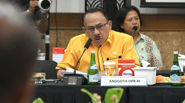 DPR Dorong RUU Hukum Perdata Internasional Perkuat Perlindungan WNI di Luar Neger