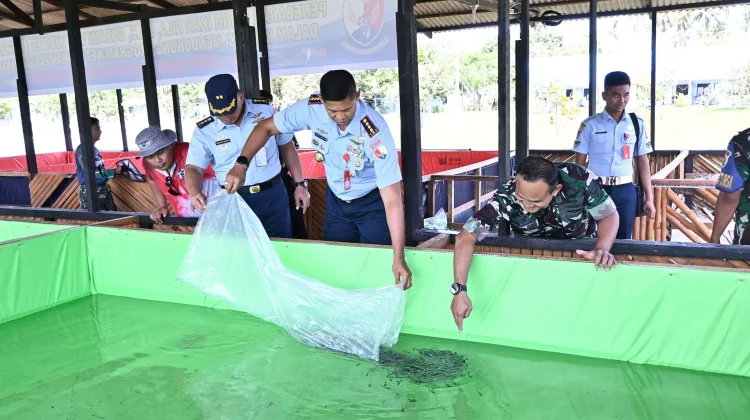 Komisi IV DPR Soroti Ketidakseimbangan Budidaya Dalam Negeri dengan Ekspor BBL