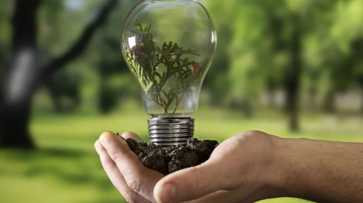 Peringati Hari Bumi, Kawan Alam Ajak Gaya Hidup Hemat Energi