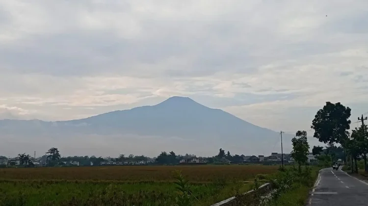 Aktivitas Gunung Slamet Meningkat, PVMBG Minta Pemda-Warga Siaga