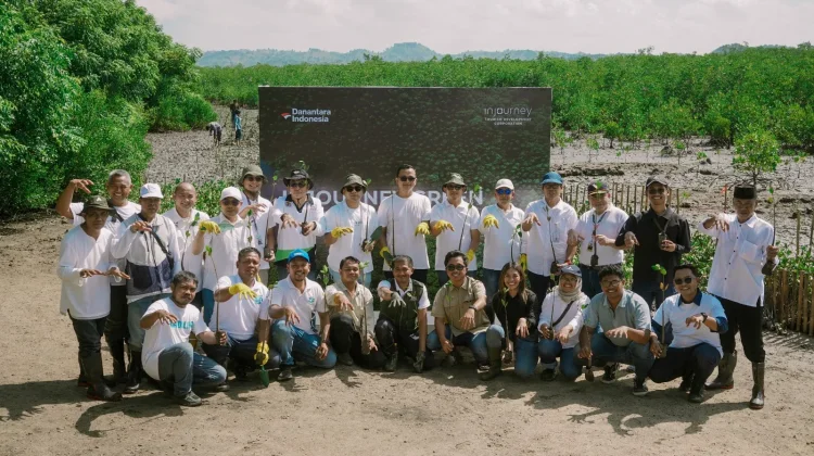 ITDC Tanam 15 Ribu Mangrove Dukung Pariwisata Berkelanjutan