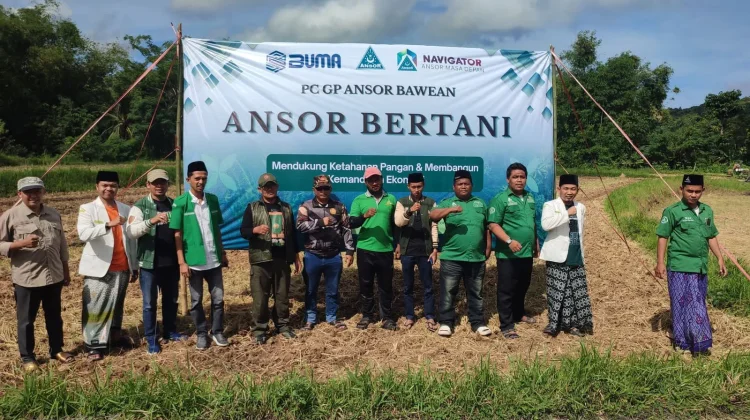 Ansor Bertani: PW GP Ansor Jatim Tinjau Lahan Produktif BUMA di Bawean