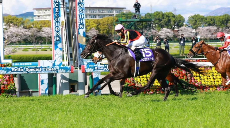 Pacuan Kuda Tenno Sho Spring Diprediksi Sengit