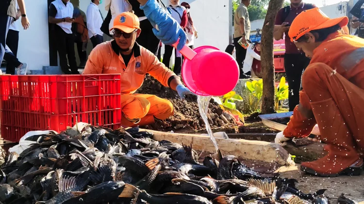 Jaga Ekosistem Waduk, Walkot Munjirin Pastikan Ikan Selain Sapu-sapu Dilepas