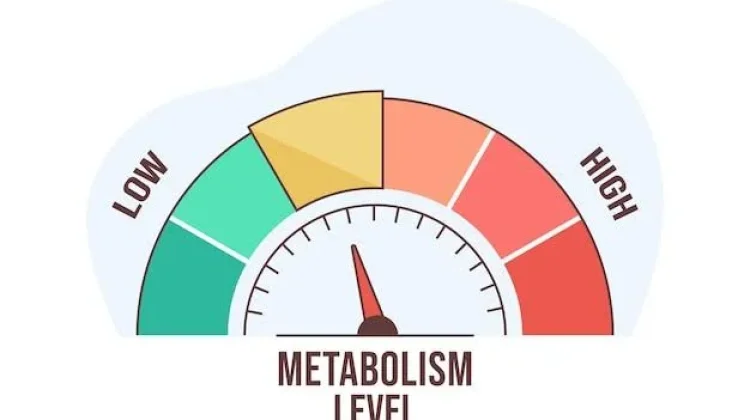 Epidemi Metabolik, Ancaman Nyata di Balik Gaya Hidup Modern Indonesia