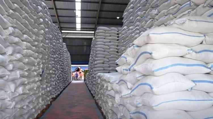 Stok Beras Tembus 5 Juta Ton, antara Ketahanan Pangan dan Realitas Pasar