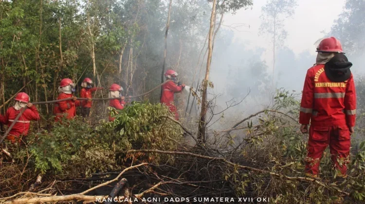 Mitigasi Karhutla, Komisi IV DPR Dorong Pemerintah Jalankan Langkah Stategis Ini