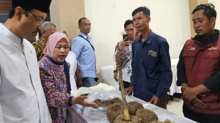 Pendapatan Warga Lombok dan Bandung Naik, Komoditas Lokal Tembus Pasar Global