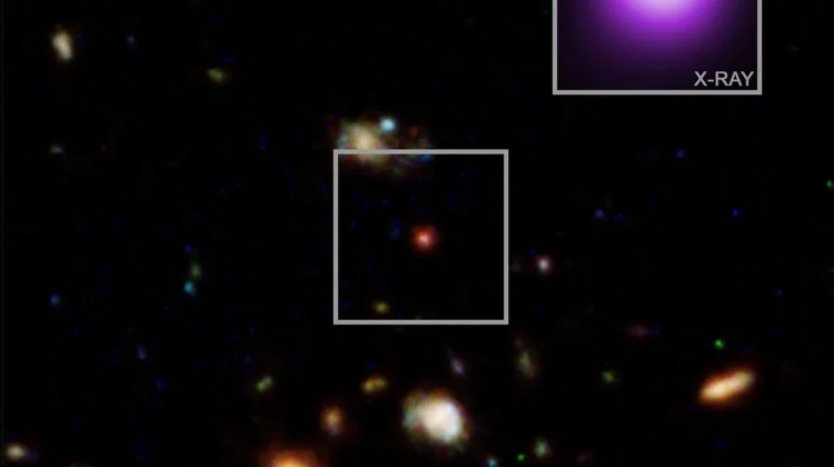 NASA Temukan 'Titik Sinar-X', Kunci Misteri Little Red Dots di Alam Semesta Purba